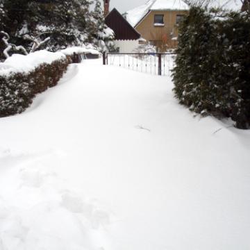 Zingst 2010 37