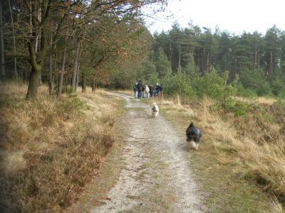 Advent_2011_34