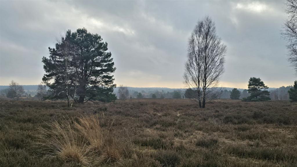 Adventswanderung_2025_04