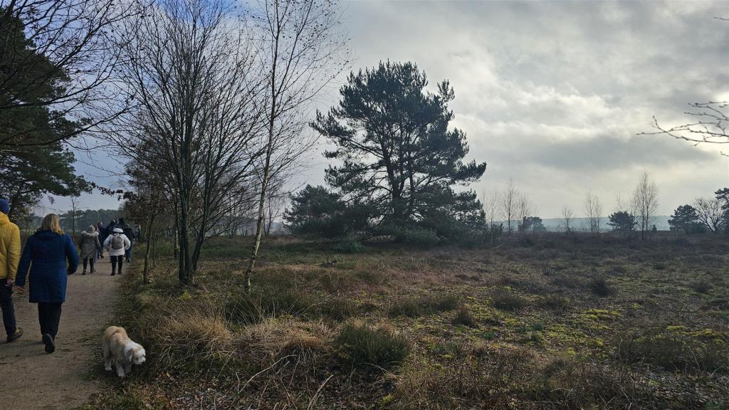 Adventswanderung_2025_07