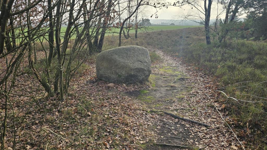 Adventswanderung_2025_09