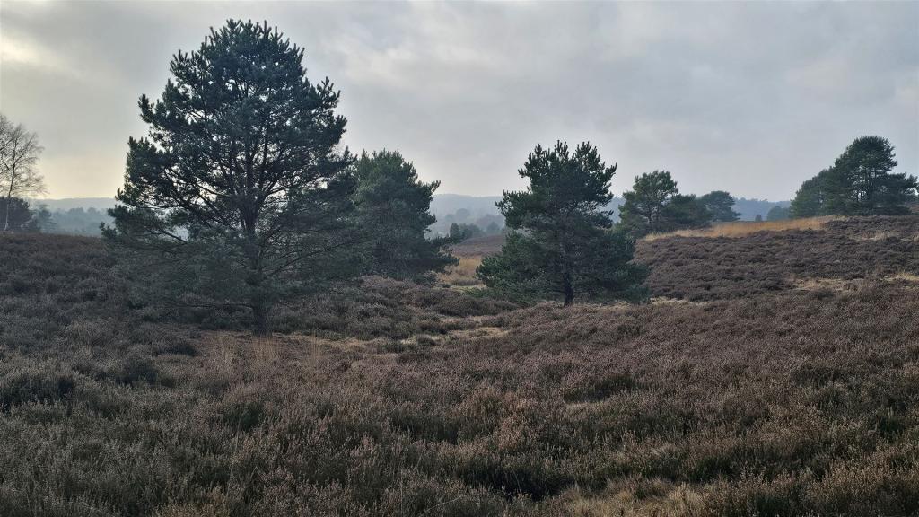 Adventswanderung_2025_13