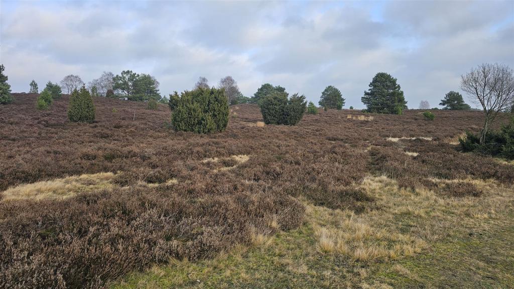 Adventswanderung_2025_15