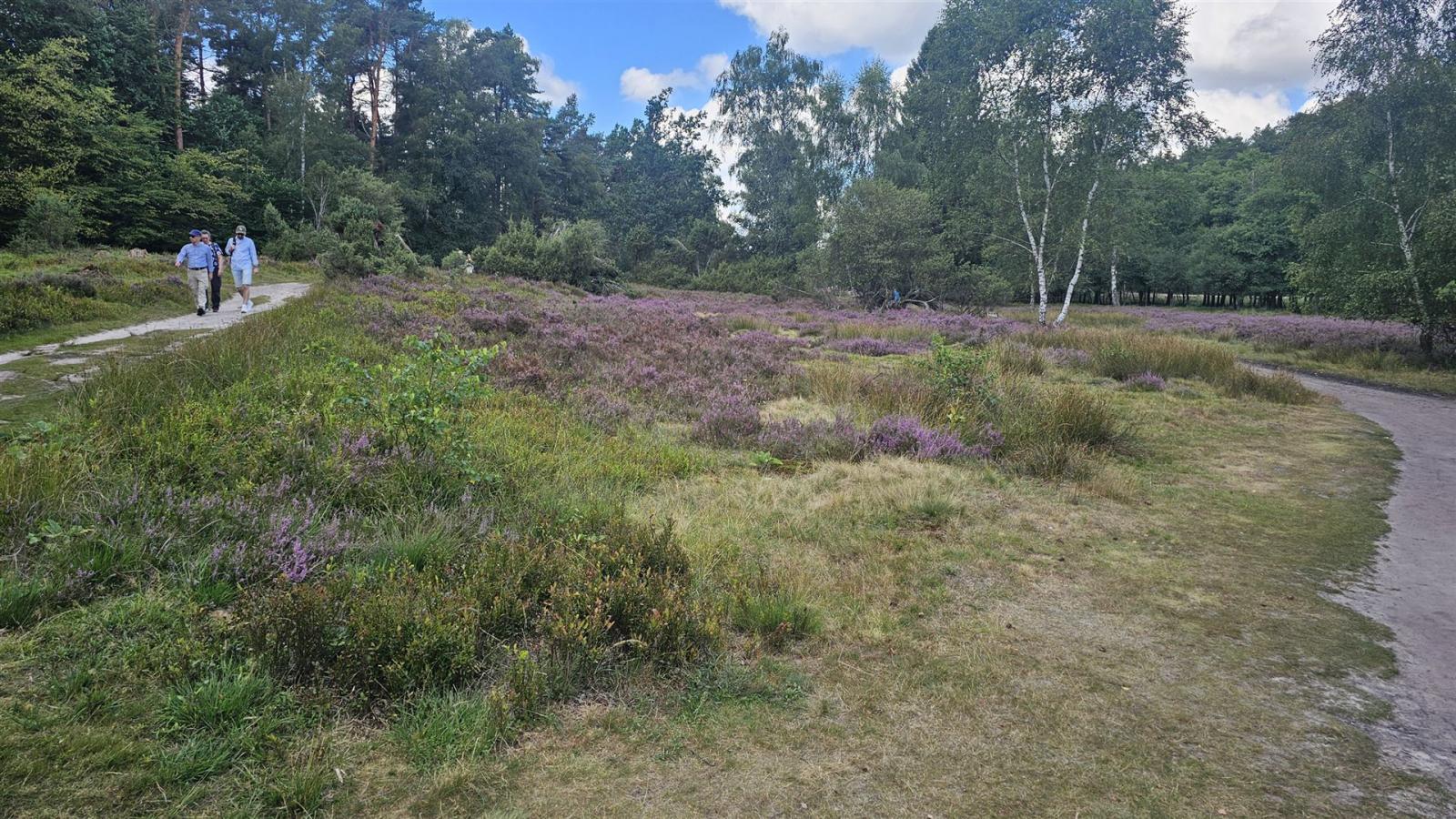 Cabriotour_Heide_2026_002