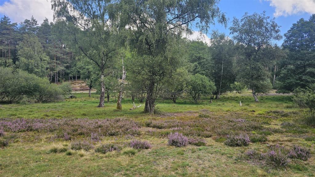 Cabriotour_Heide_2026_004