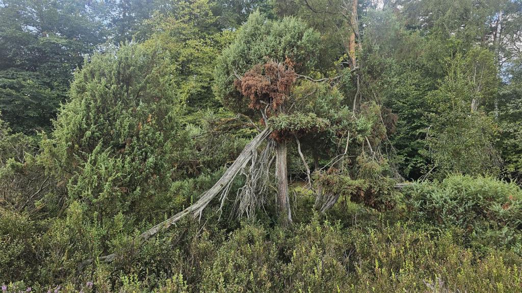Cabriotour_Heide_2026_007