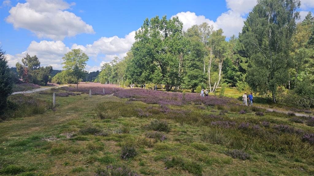 Cabriotour_Heide_2026_009
