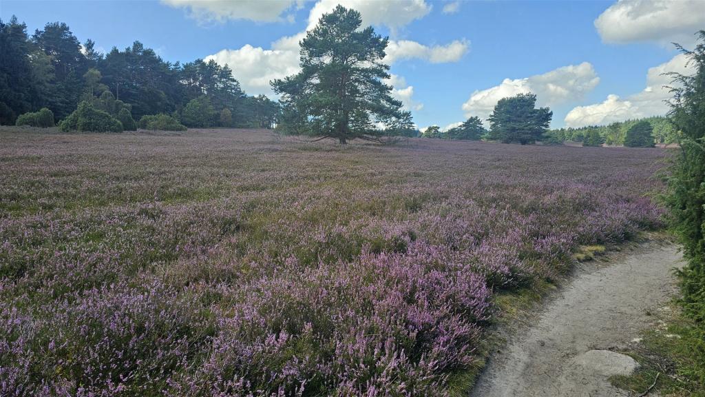 Cabriotour_Heide_2026_012