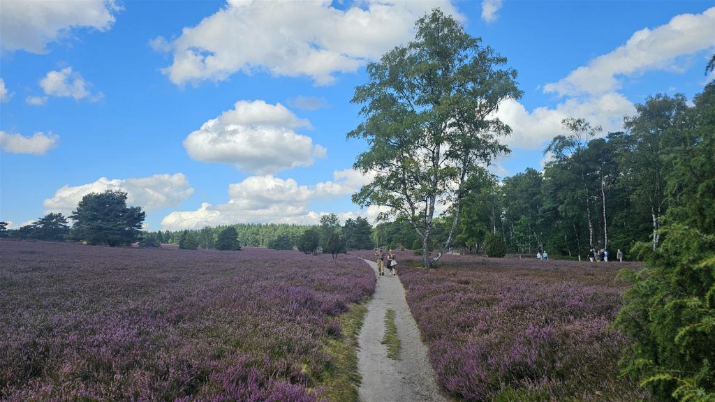 Cabriotour_Heide_2026_014