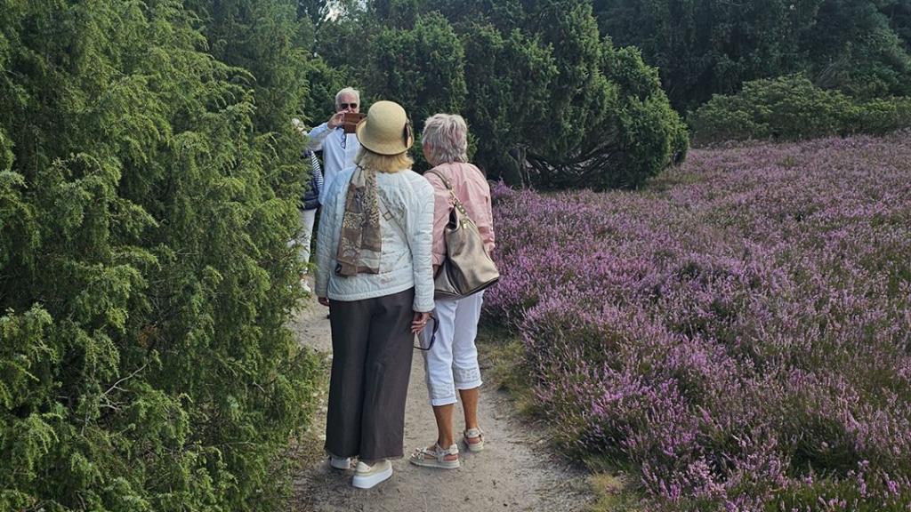 Cabriotour_Heide_2026_015