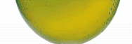 berlinerweisse
