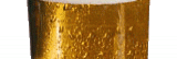 Leichtbier