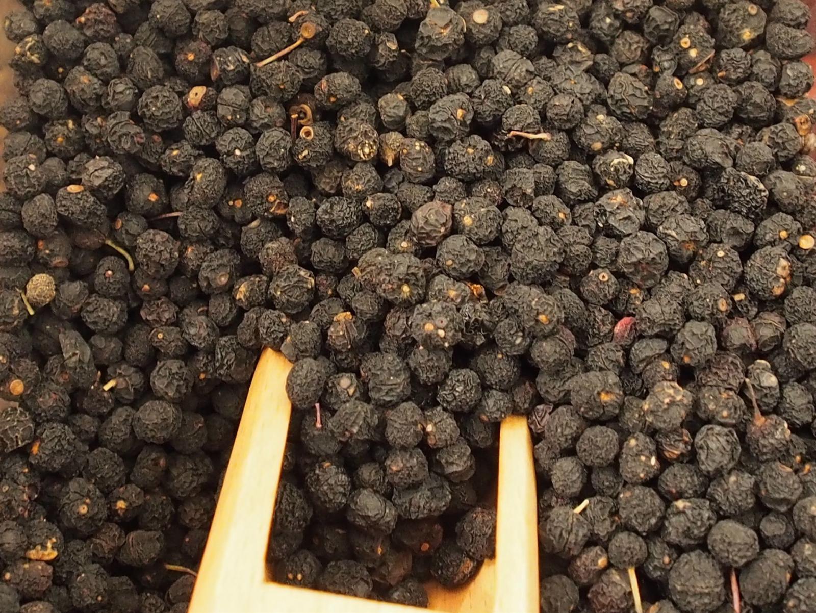 Tasmanischer Pfeffer