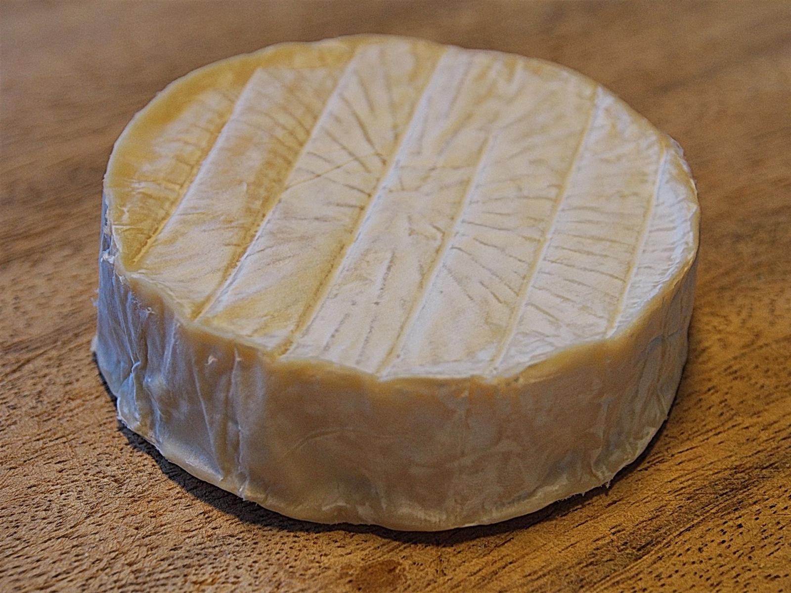 Camembert