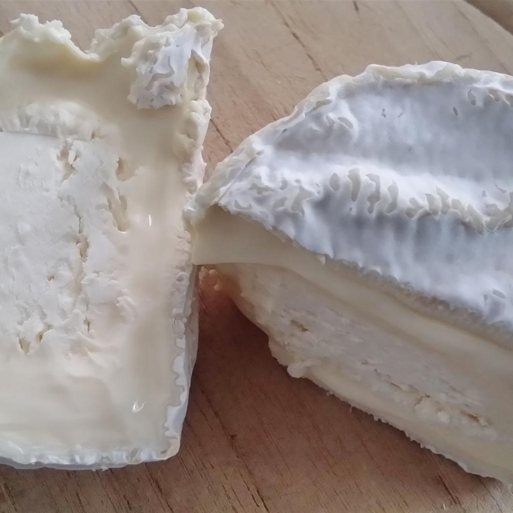 Chaource_05