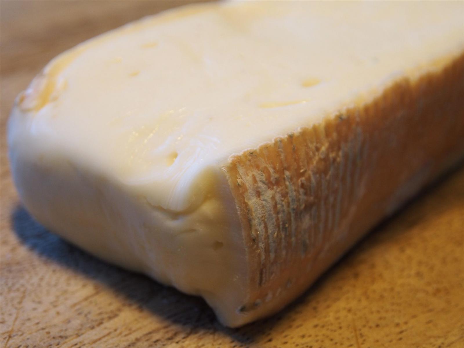 Taleggio
