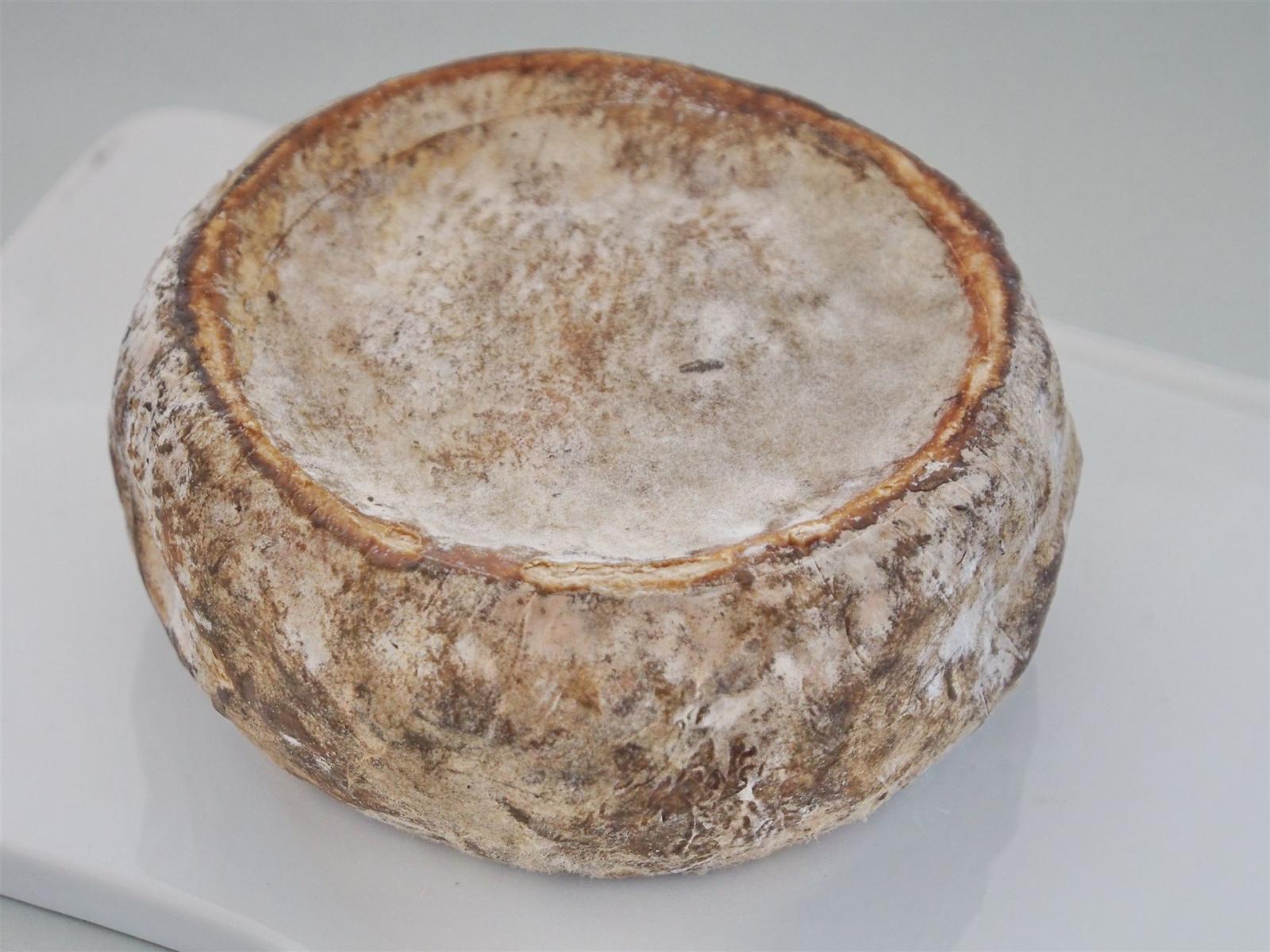 Tommette de Savoie_1