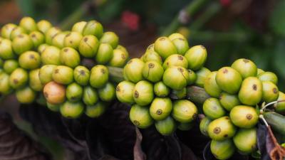Vietnam_2013_0889