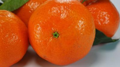 clementines-795777_1280