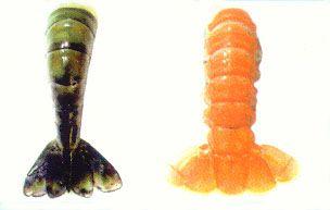 Garnele_Kaisergranat