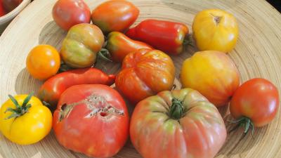 Tomaten_11