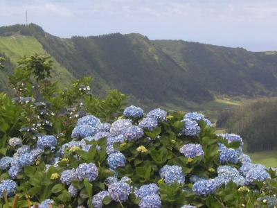 Azoren_2003_25
