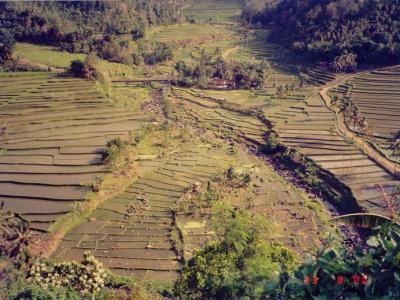 Bali_2001_54