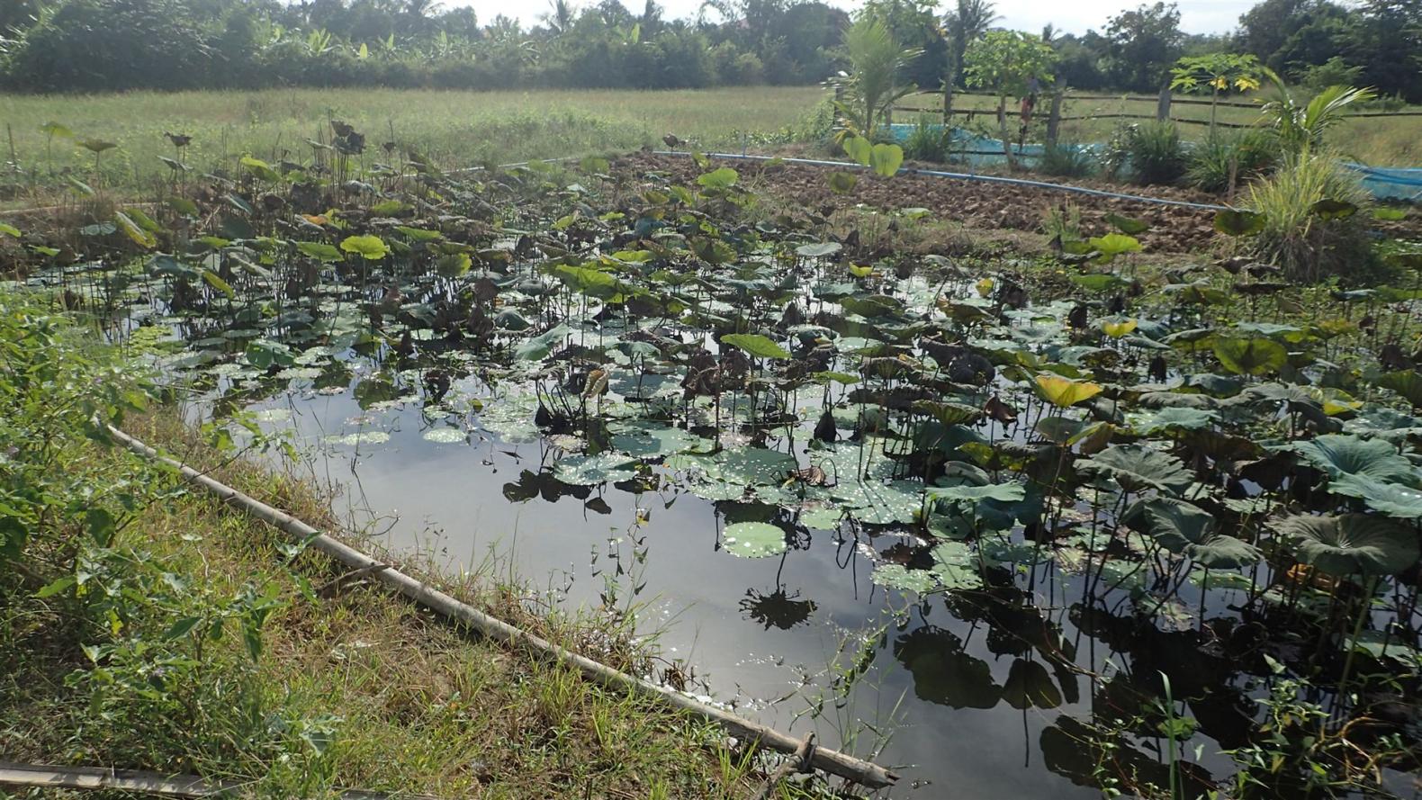 Kambodscha_2017_0271