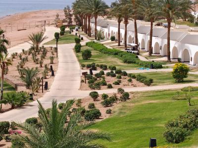 Dahab_2018_019