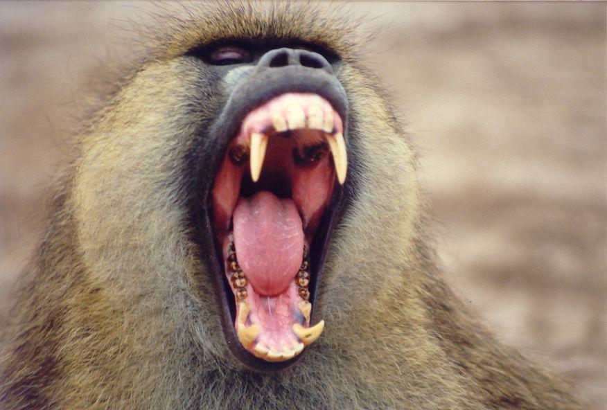 2008-04-27 19-19-12_0017