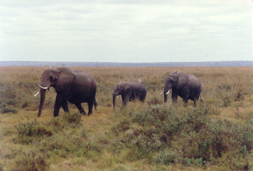 2008-04-27 19-27-30_0040