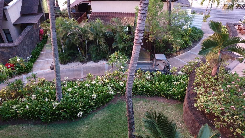 Mauritius_496