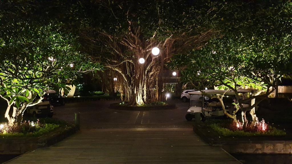 Mauritius_499