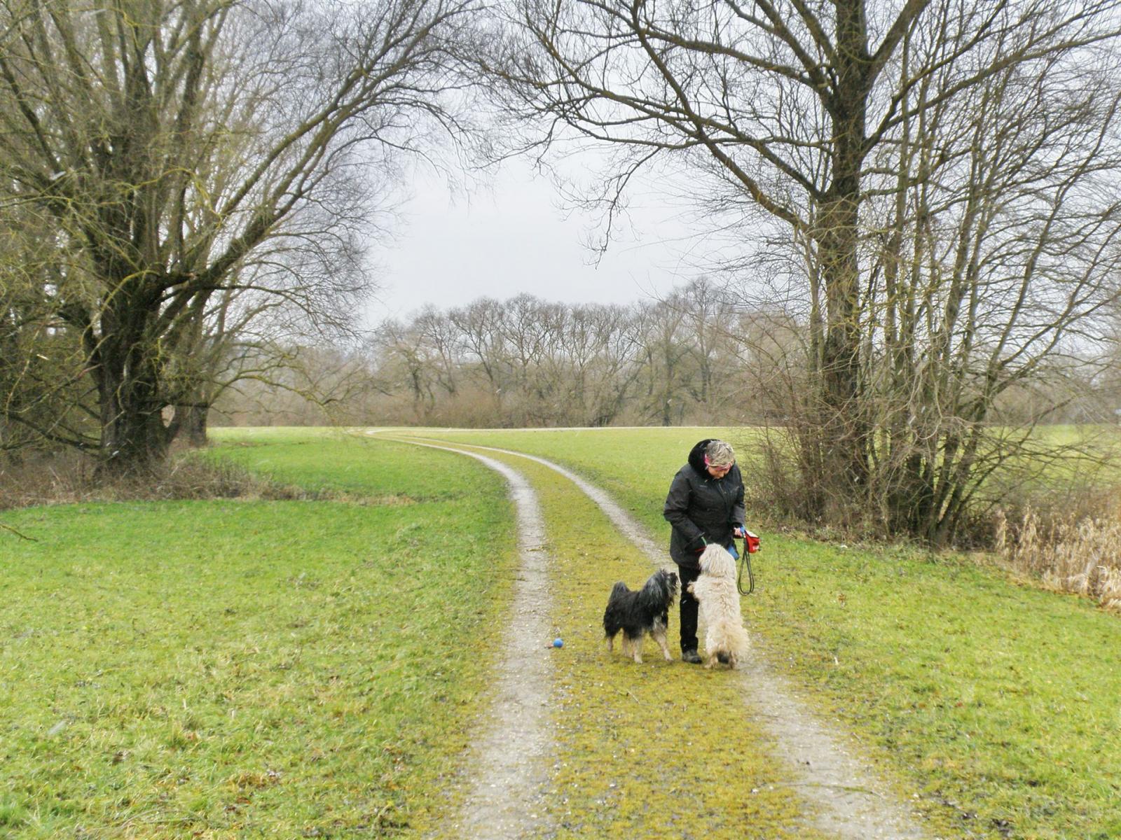 Postmuenster_2011_06