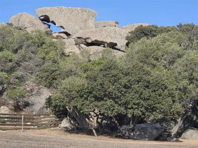 Sardinien_2026_078