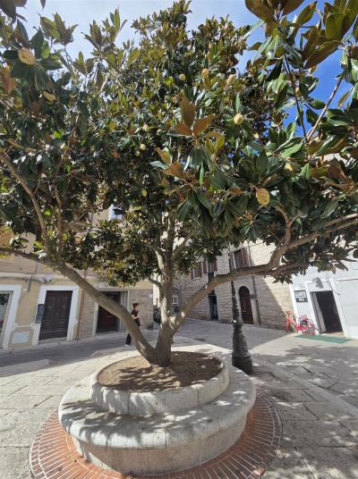 Sardinien_2026_092