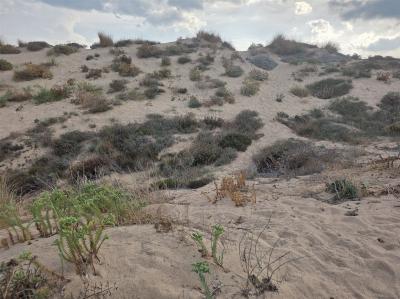 Sardinien_2026_181