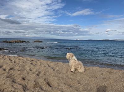 Sardinien_2026_312