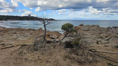 Sardinien_2026_339