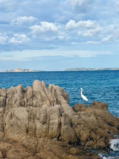 Sardinien_2026_418