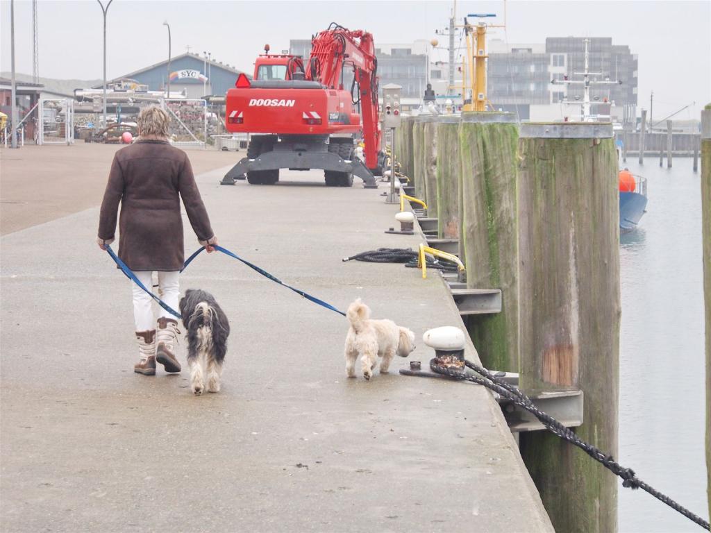 Sylt_Nov_2012_057