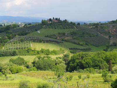P5081319