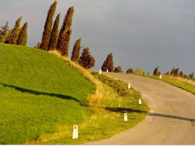 Toscana29