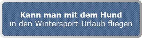 Kann man mit dem Hund